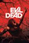 Nonton film Streaming Evil Dead (2013) subtitle Bahasa Indonesia