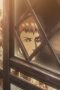 Nonton film Streaming Attack on Titan Season 1 Episode 13 subtitle Bahasa Indonesia