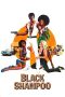 Nonton film Streaming Black Shampoo (1976) subtitle Bahasa Indonesia