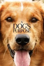Nonton film Streaming A Dog’s Purpose (2017) subtitle Bahasa Indonesia