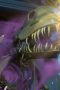 Nonton film Streaming Ninjago: Masters of Spinjitzu Season 2 Episode 5 subtitle Bahasa Indonesia