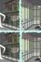 Nonton film Streaming Rick and Morty Season 2 Episode 1 subtitle Bahasa Indonesia