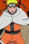 Nonton film Streaming Naruto Shippūden Season 10 Episode 213 subtitle Bahasa Indonesia