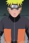 Nonton film Streaming Naruto Shippūden Season 12 Episode 256 subtitle Bahasa Indonesia