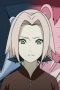 Nonton film Streaming Naruto Shippūden Season 20 Episode 442 subtitle Bahasa Indonesia