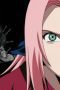 Nonton film Streaming Naruto Season 1 Episode 5 subtitle Bahasa Indonesia