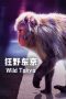 Nonton film Streaming Wild Tokyo (2021) subtitle Bahasa Indonesia