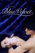 Nonton film Streaming Blue Velvet (1986) subtitle Bahasa Indonesia