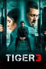 Nonton film Streaming Tiger 3 (2023) subtitle Bahasa Indonesia