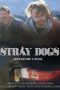 Nonton film Streaming Stray Dogs (2020) subtitle Bahasa Indonesia