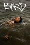 Nonton film Streaming Bird (2024) subtitle Bahasa Indonesia