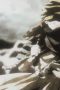 Nonton film Streaming Hunter x Hunter Season 1 Episode 37 subtitle Bahasa Indonesia