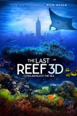 Nonton film Streaming The Last Reef: Cities Beneath the Sea (2012) subtitle Bahasa Indonesia