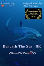 Nonton film Streaming Wild Window: Beneath the Sea (2018) subtitle Bahasa Indonesia