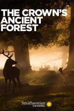 Nonton film Streaming The Crown’s Ancient Forest (2021) subtitle Bahasa Indonesia
