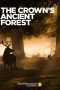 Nonton film Streaming The Crown’s Ancient Forest (2021) subtitle Bahasa Indonesia