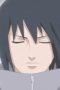 Nonton film Streaming Naruto Shippūden Season 17 Episode 370 subtitle Bahasa Indonesia