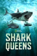 Nonton film Streaming Shark Queens (2022) subtitle Bahasa Indonesia