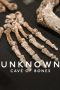 Nonton film Streaming Unknown: Cave of Bones (2023) subtitle Bahasa Indonesia