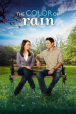 Nonton film Streaming The Color of Rain (2014) subtitle Bahasa Indonesia