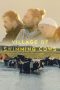 Nonton film Streaming Village of Swimming Cows (2018) subtitle Bahasa Indonesia