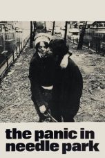 Nonton film Streaming The Panic in Needle Park (1971) subtitle Bahasa Indonesia