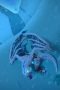 Nonton film Streaming Ninjago: Masters of Spinjitzu Season 11 Episode 30 subtitle Bahasa Indonesia