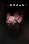 Nonton film Streaming Pignorant (2024) subtitle Bahasa Indonesia