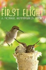 Nonton film Streaming First Flight: A Mother Hummingbird’s Story (2009) subtitle Bahasa Indonesia