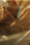 Nonton film Streaming Attack on Titan Season 1 Episode 2 subtitle Bahasa Indonesia