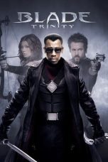 Nonton film Streaming Blade: Trinity (2004) subtitle Bahasa Indonesia