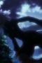 Nonton film Streaming Hunter x Hunter Season 2 Episode 131 subtitle Bahasa Indonesia