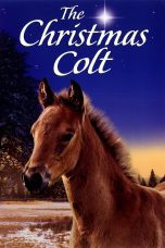 Nonton film Streaming The Christmas Colt (2013) subtitle Bahasa Indonesia