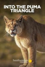 Nonton film Streaming Into the Puma Triangle (2020) subtitle Bahasa Indonesia