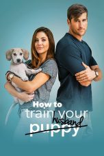 Nonton film Streaming How to Train Your Husband (2018) subtitle Bahasa Indonesia