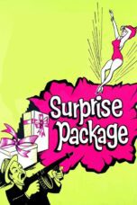 Nonton film Streaming Surprise Package (1960) subtitle Bahasa Indonesia