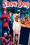 Nonton film Streaming Snow Dog (1950) subtitle Bahasa Indonesia